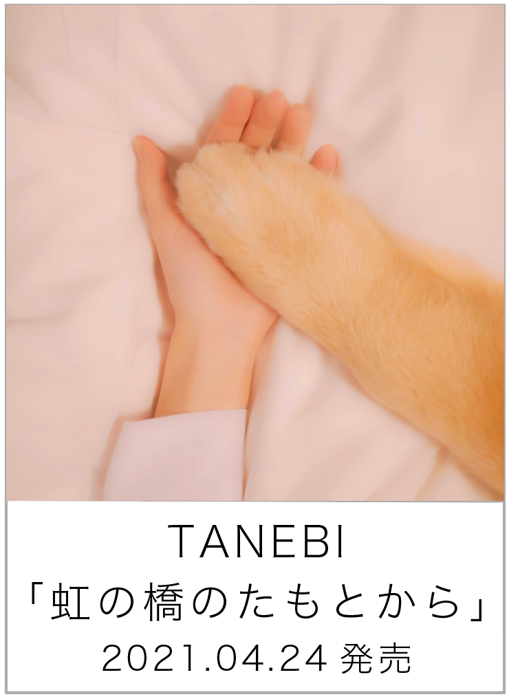 虹の橋のたもとから