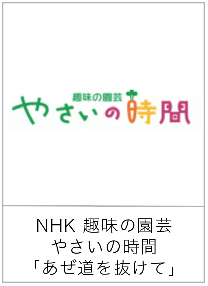 あぜ道を抜けて